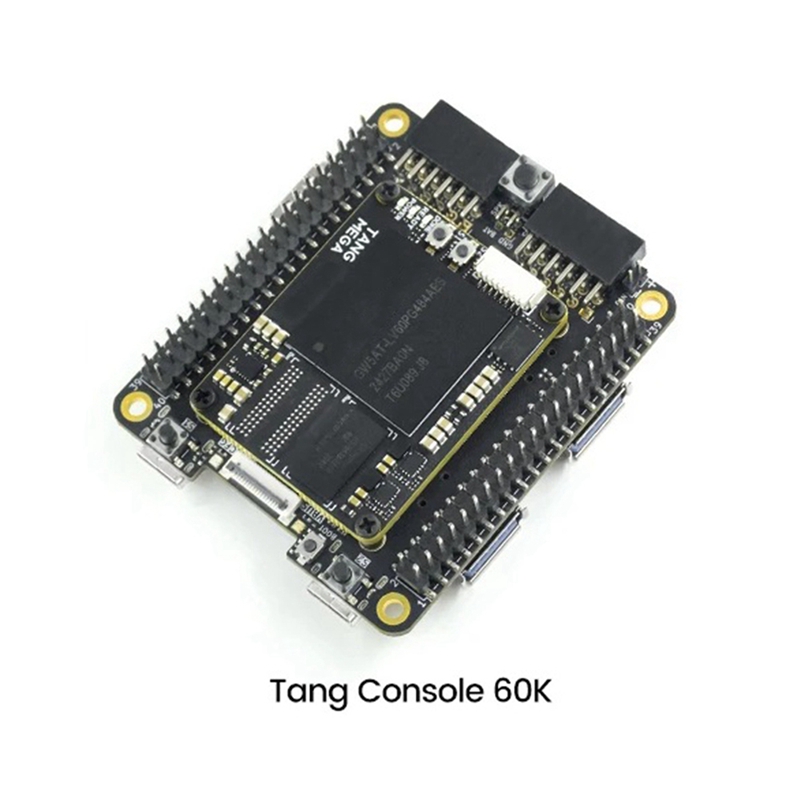 Плата разработки Tang Console  – обзор и цена Perfboard